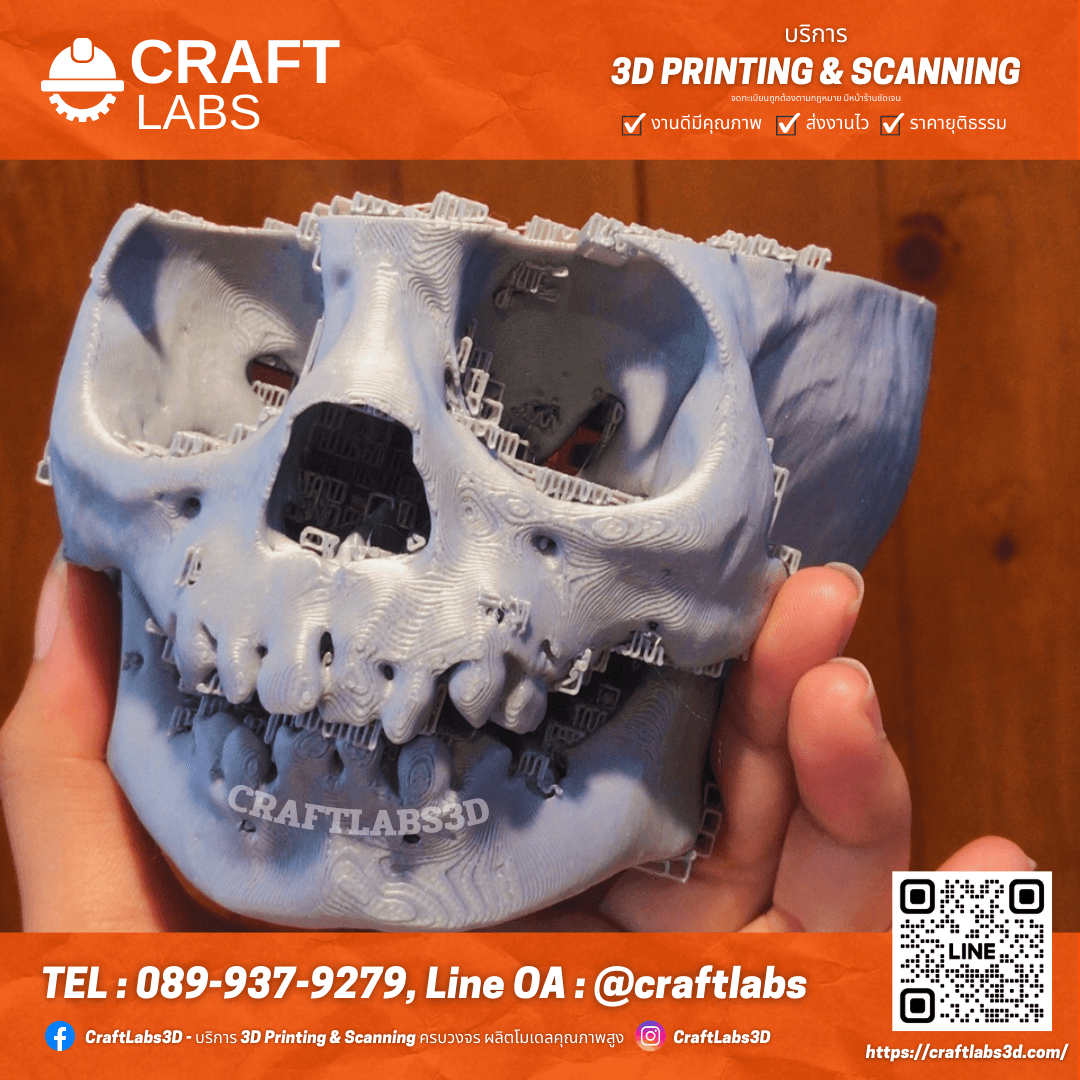 โครงกะโหลกมนุษย์ คณะแพทย์ มหิดล