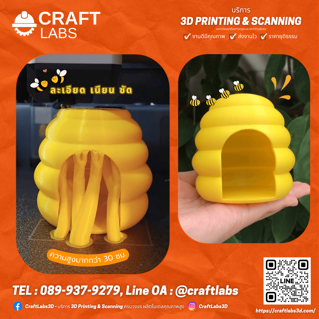 รังผึ้ง ของเล่นเสริมพัฒนาการสำหรับเด็ก